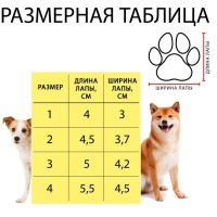 Ботинки Элеганс, набор 4 шт, размер 2 (подошва 4,5 х 3,7 см) коричневые