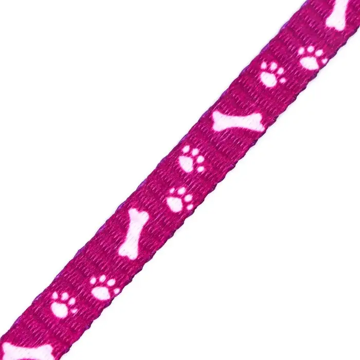 Ошейник Ошейник "Лапки-кости" с бубенчиком, капрон, 30 х 1 см, фиолетовый