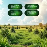 Органическое удобрение для хвойных растений Greenlife, 500 мл