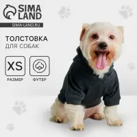 Толстовка однотонная для собак (футер), размер XS (ДС 18, ОШ 28-30, ОГ 38-40), серая Толстовка однотонная для собак (футер), размер XS (ДС 18, ОШ 28-30, ОГ 38-40), серая