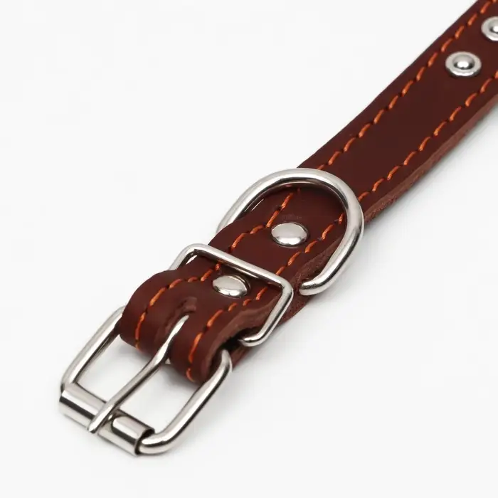 Ошейник украшенный, 45&times;2 см, ОШ 25-35 см, на синтепоне, кожа, коричневый