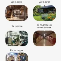 Клей от грызунов с запахом арахиса SAFEX, туба,135 г