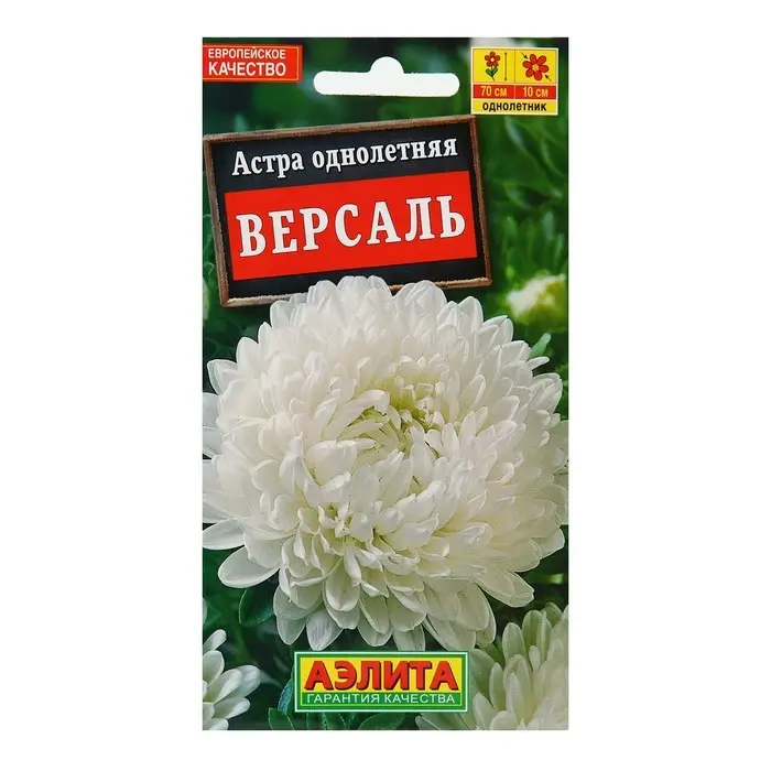 Семена цветов Астра  Семена цветов Астра "Версаль" пионовидная, О, 0,2 г