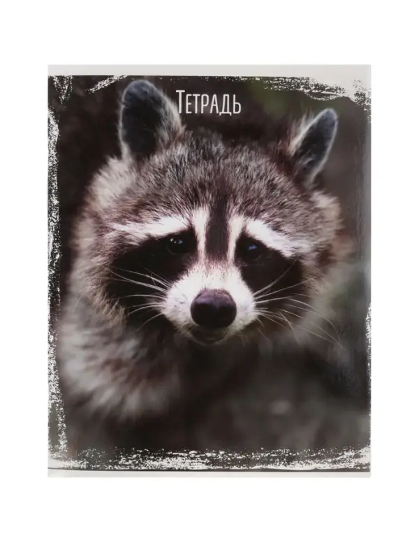 Тетрадь 48 листов в клетку, Calligrata &laquo;Дикие животные&raquo;, МИКС