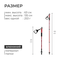 Палки для скандинавской ходьбы ONLITOP, телескопические, 3 секции, до 135 см, 2 шт., цвет МИКС