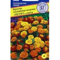 Семена цветов Бархатцы отклонённые &laquo;Петит&raquo; смесь, О, 20 шт.