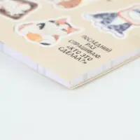 Планинг с отрывными листами, 50 л "Планер котика" Планинг с отрывными листами, 50 л "Планер котика"