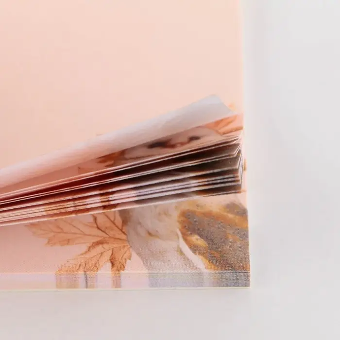 Бумажный блок для записи с отрывными листами &laquo;Лучшему учителю &raquo;, 50 листов, 7,5 см х 7,5 см.