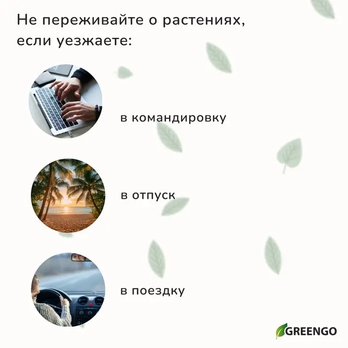 Автополив для комнатных растений, h=28 см, 380 мл, пластик, набор 2 шт., зелёный, Greengo