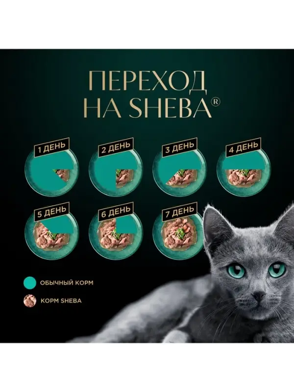 Влажный корм Sheba для кошек курица, паштет, пауч 75 г