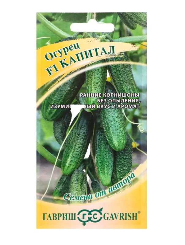 Семена Огурец Капитал F1 10 шт. автор.