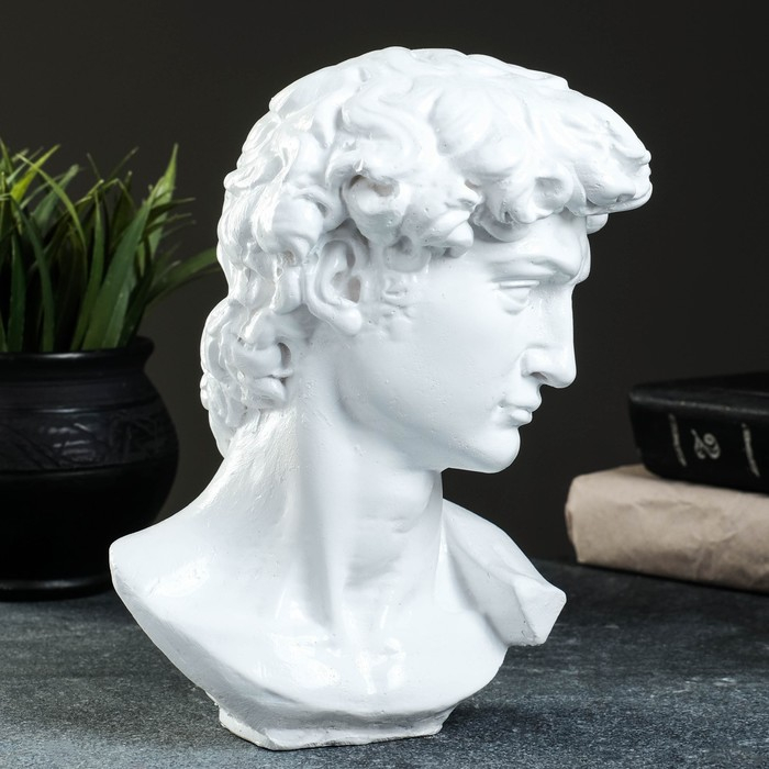 Копилка Копилка "Бюст Давида" 20х13см