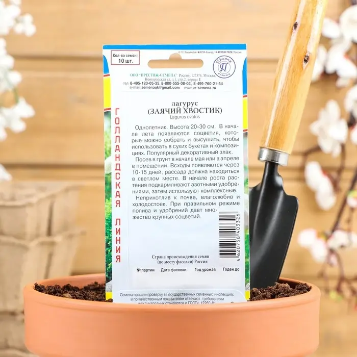 Семена цветов Лагурус (заячий хвостик), О, 10 шт Семена цветов Лагурус (заячий хвостик), О, 10 шт
