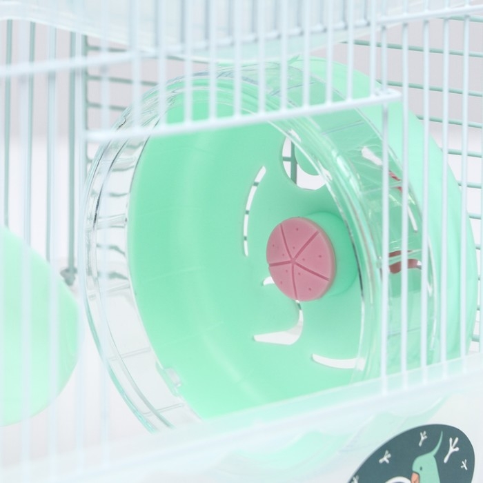 Клетка для грызунов "Пижон", 23 х 17 х 33 см, прозрачная, зелёное наполнение