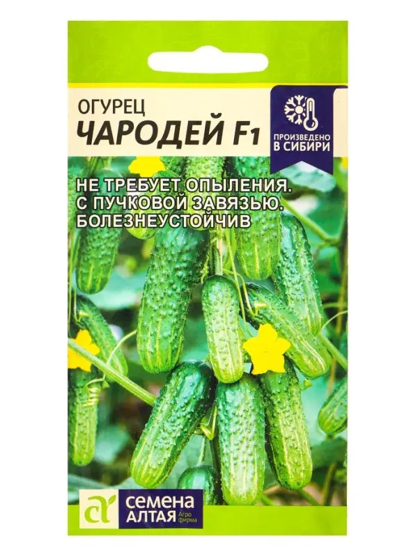 Семена Огурец &laquo;Чародей&raquo;, F1, 5 шт., &laquo;Семена Алтая&raquo;