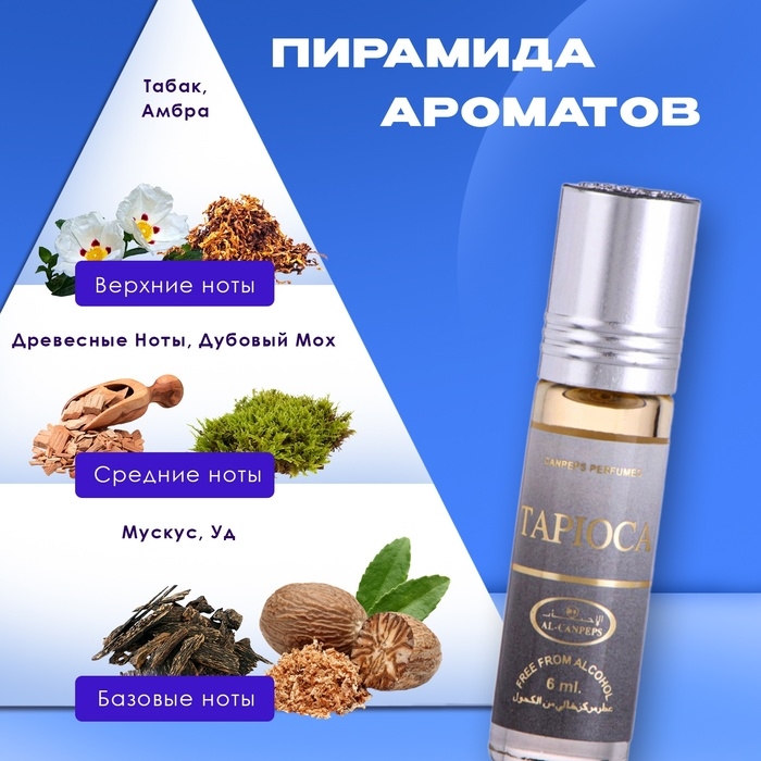 Духи масляные мужские Tapioca, 6 мл Духи масляные мужские Tapioca, 6 мл