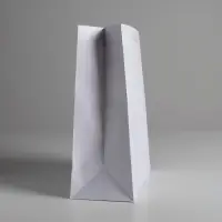 Пакет подарочный, упаковка, &laquo;Белый&raquo;, M 25.5&times;30&times;9 см