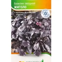 Семена Базилик "Жиголо" 0,4 г Семена Базилик "Жиголо" 0,4 г