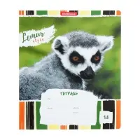 Тетрадь 18 листов в линейку, ErichKrause Lemur Style, МИКС