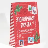 Пакет подарочный новогодний ламинированный «Полярная почта», L 28 х 38 х 9 см
