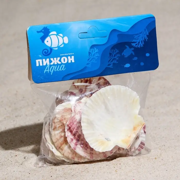 Набор ракушек,  Набор ракушек, "Гребешок пуксидатус", размер 4 - 6 см, 100 г