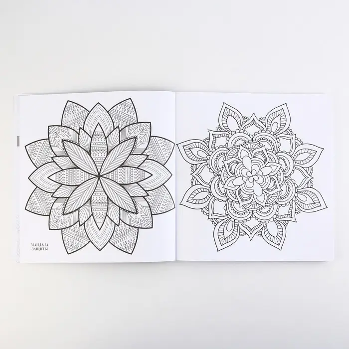 Раскраска-антистресс "Завораживающая мандала", 96 стр. 25х25 см.