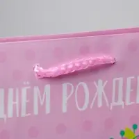 Пакет подарочный ламинированный, упаковка, «С Днём Рождения», MS 18 х 23 х 8 см