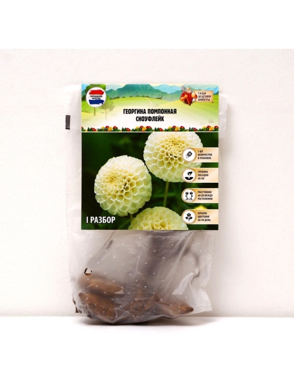 Георгина Помпонная «Сноуфлейк», клубелуковица в упаковке, р-р см, I, 1 шт.