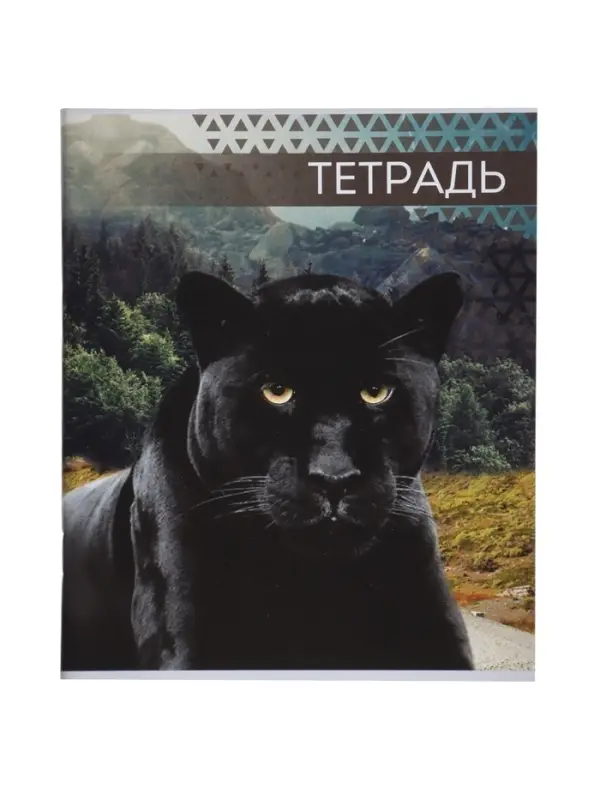 Тетради в линейку, 48 листов &laquo;Дикие кошки&raquo;, серые листы, 4 шт.