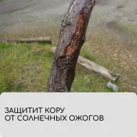Лента для подвязки растений, 10×0.02 м, плотность 60 г/м², набор 2 шт., спанбонд с УФ-стабилизатором, белая, Greengo, Эконом 20%