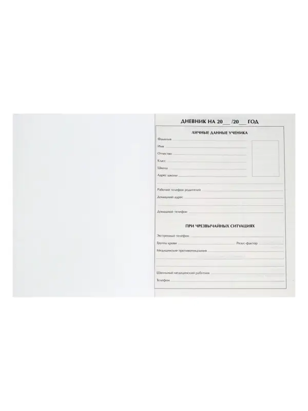 Дневник школьный для 1-11 классов, &laquo;Авокадо с косточкой ПАТТЕРН&raquo;, твёрдая обложка 7БЦ, глянцевая ламинация, 40 листов