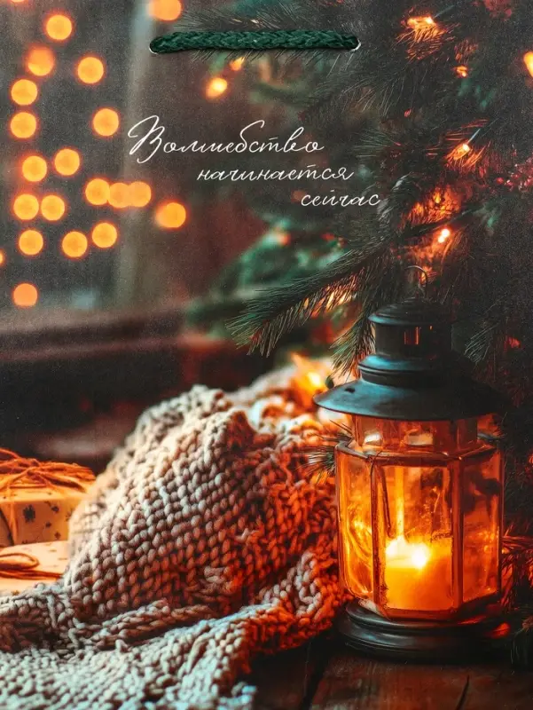 Пакет подарочный новогодний ламинированный, «Уют» , 18×10×22.3 см Пакет подарочный новогодний ламинированный, «Уют» , 18×10×22.3 см