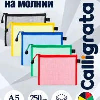 Папка-конверт на молнии А5 Calligrata &laquo;Сеточка&raquo;, 250 мкм, МИКС