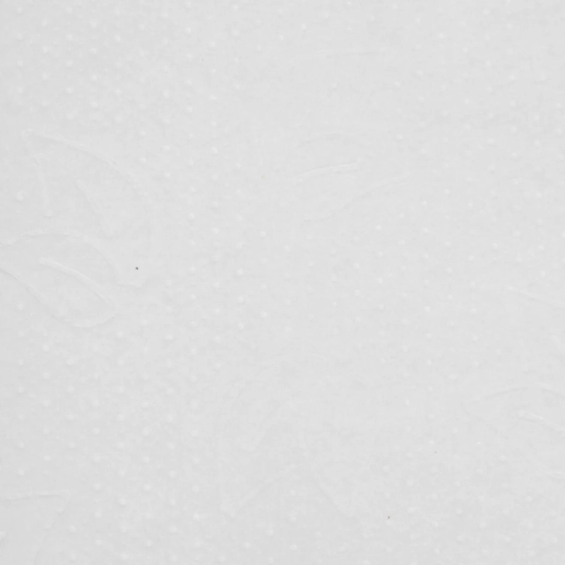 Бумага протирочная Protissue 1000л/рул 350м С241 2рул/уп