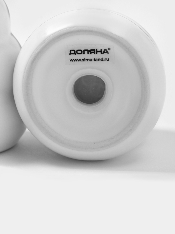 Набор для специй Доляна &laquo;Зефир&raquo;, солонка, перечница, 100 мл, керамика, белый