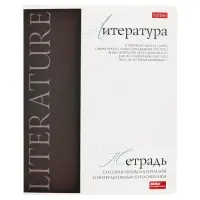 Предметная тетрадь по литературе Hatber &laquo;Буквица&raquo;, 48 листов, в линейку, со справочным материалом, обложка из мелованного картона
