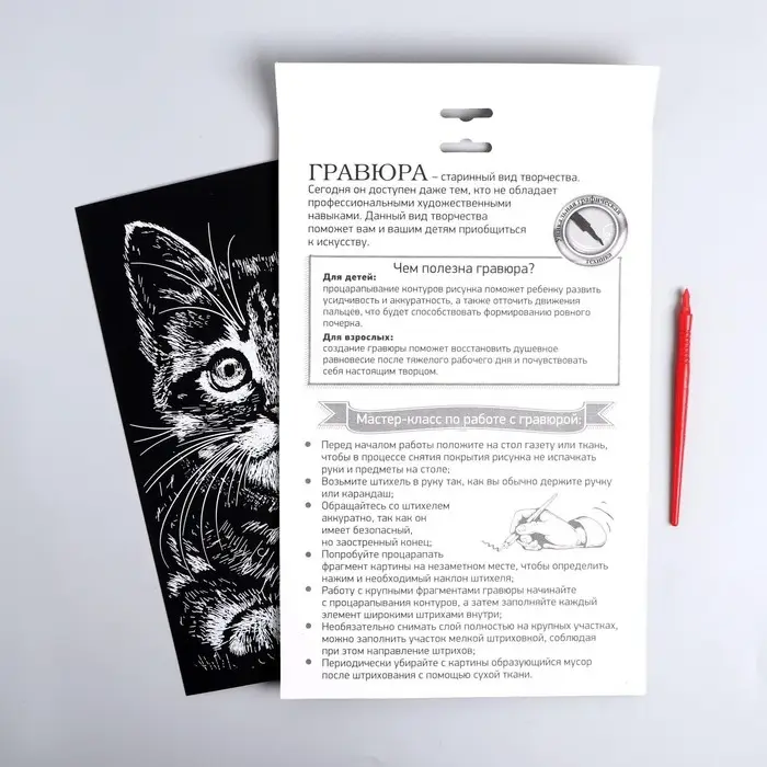 Гравюра &laquo;Котёнок&raquo; с металлическим эффектом &laquo;серебро&raquo; А4