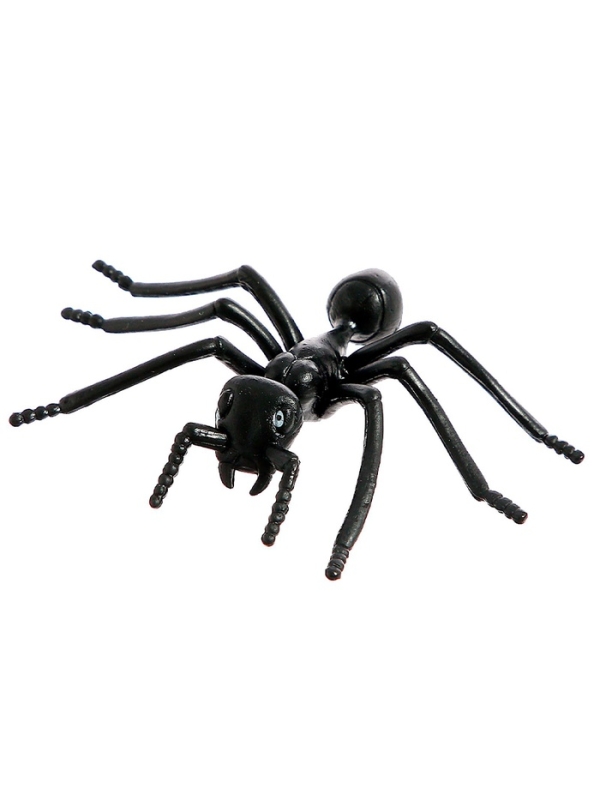 Набор насекомых «Муравьи»