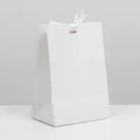 Пакет подарочный с лентой, упаковка, &laquo;Белый&raquo;, 13 х 19 х 9 см
