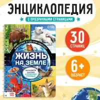 Энциклопедия с прозрачными страницами &laquo;Жизнь на земле. Животные и где они обитают&raquo;, 30 стр.