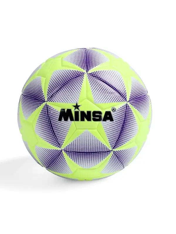 Футбольный мяч MINSA, машинная сшивка, 12 панелей, р. 5, TPE