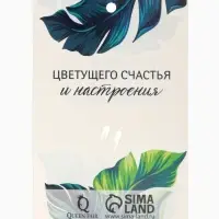 Брошь &laquo;Паук&raquo;, белая, синий в серебре