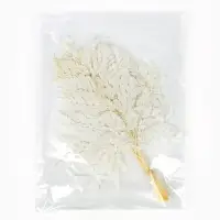 Сухоцвет Папоротник МИКС, 10 шт в упаковке