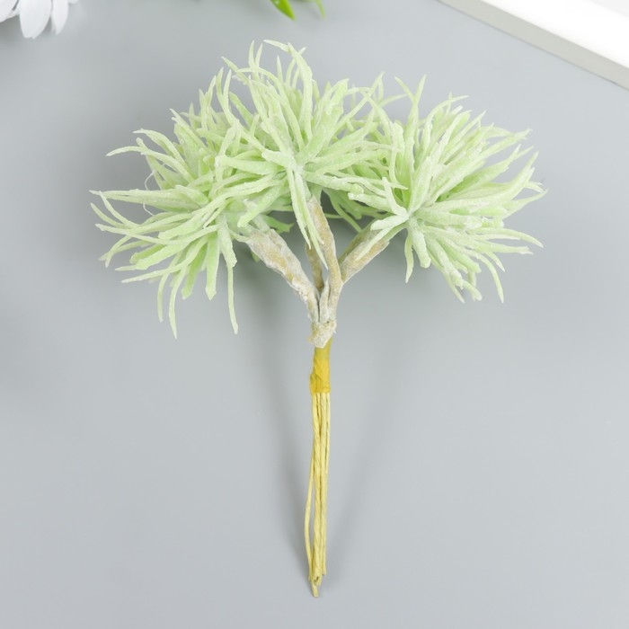 Декор для творчества Декор для творчества "Сфангум" 1 букет=6 цветов светло-зелёный 5х13,5 см