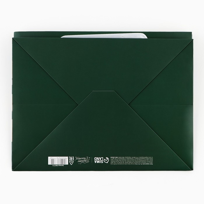 Пакет подарочный новогодний с широким дном «Новогодняя сказка», 25 х 19 х 18 см, Новый год Пакет подарочный новогодний с широким дном «Новогодняя сказка», 25 х 19 х 18 см, Новый год