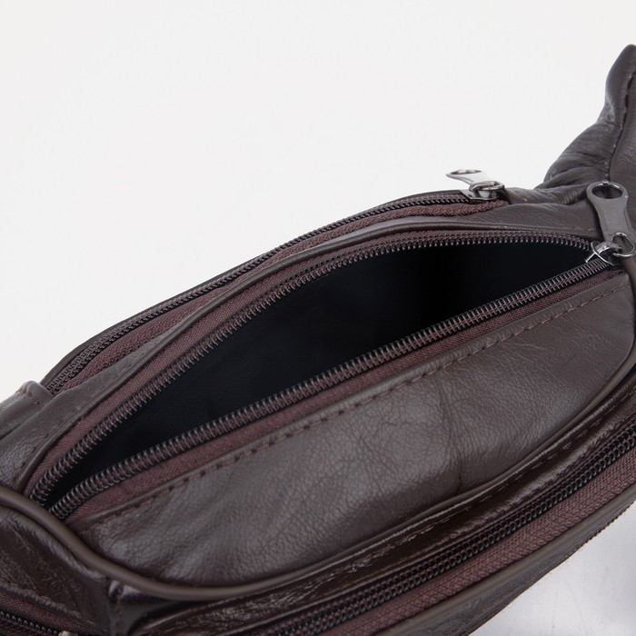 Сумка поясная на молнии, цвет коричневый Сумка поясная на молнии, цвет коричневый