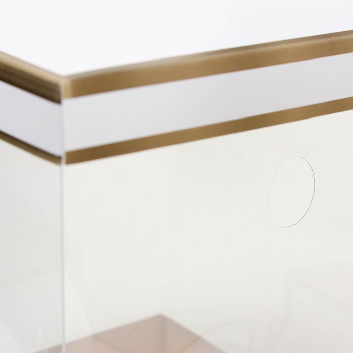 Коробка для цветов с вазой и PVC окнами складная, бронза, 16 х 23 х 16 см Коробка для цветов с вазой и PVC окнами складная, бронза, 16 х 23 х 16 см