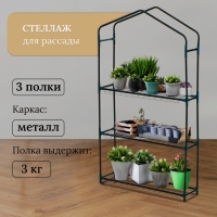 Стеллаж для рассады, 3 полки, 110 × 22 × 65 см, металлический каркас d = 12 мм, без чехла, Greengo