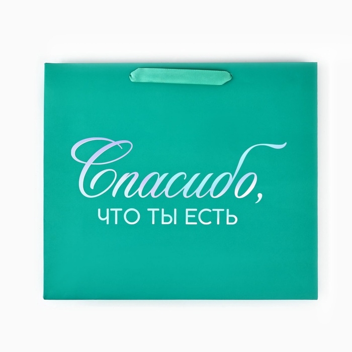 Пакет подарочный «Спасибо, что ты есть», голография, M 30 х 9 х 26 см