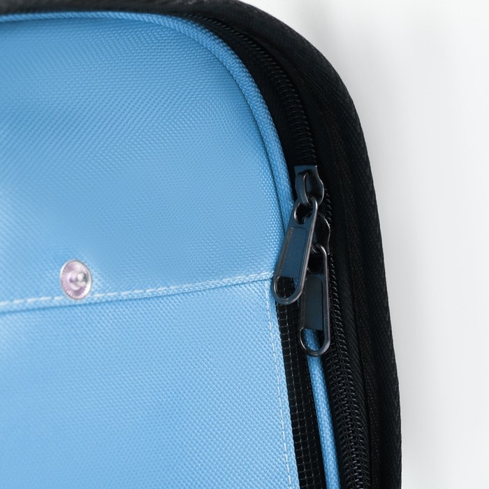 Сумка-переноска с окном для мордочки, 42 х 21 х 25 см, голубая Сумка-переноска с окном для мордочки, 42 х 21 х 25 см, голубая